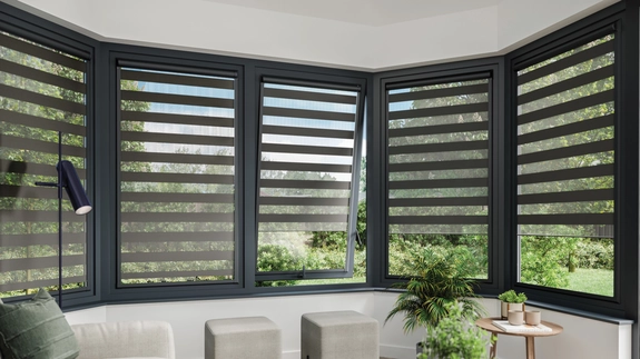 Day and Night Blinds (152)